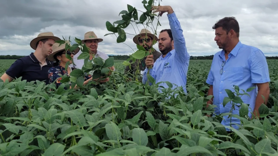 Comitiva Americana visita lavouras de soja no sul do Tocantins
