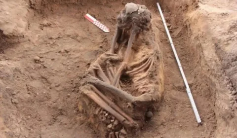 Mais de 40 esqueletos são encontrados durante construção de condomínio no MA