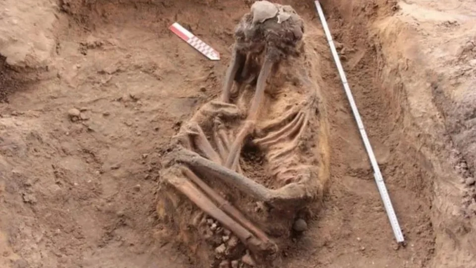 Mais de 40 esqueletos são encontrados durante construção de condomínio no MA