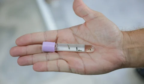 DF decreta estado de emergência para enfrentamento da dengue