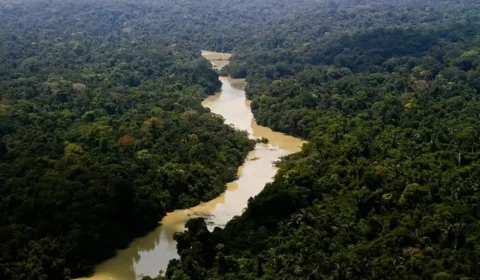 MPF pede a anulação da exploração de petróleo e gás no Amazonas