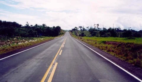 Motociclista morre ao tentar desviar de animal e cai de moto em RR
