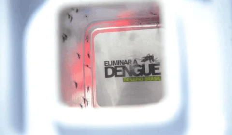 Brasil pode ter até 5 milhões de casos de dengue em 2024