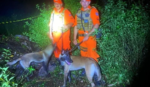 Cães de resgate auxiliaram nas buscas da artista venezuelana no Amazonas