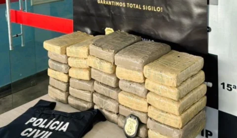 Cerca de 30kg de maconha ‘skunk’ de Barcelos são apreendidos em Manaus
