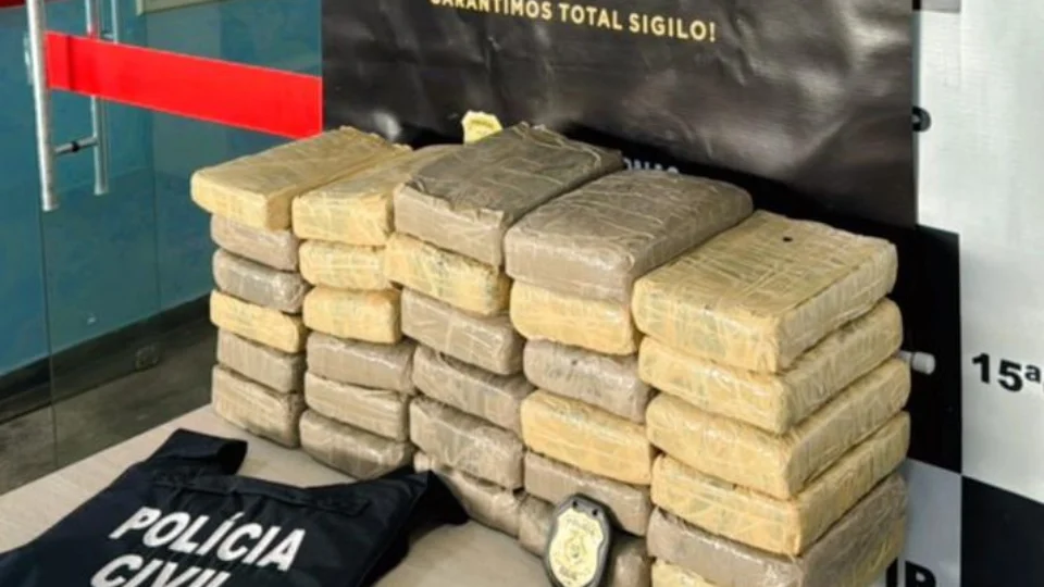 Cerca de 30kg de maconha ‘skunk’ de Barcelos são apreendidos em Manaus