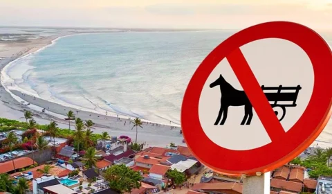 Cidade turística no CE proíbe uso de charretes com tração animal