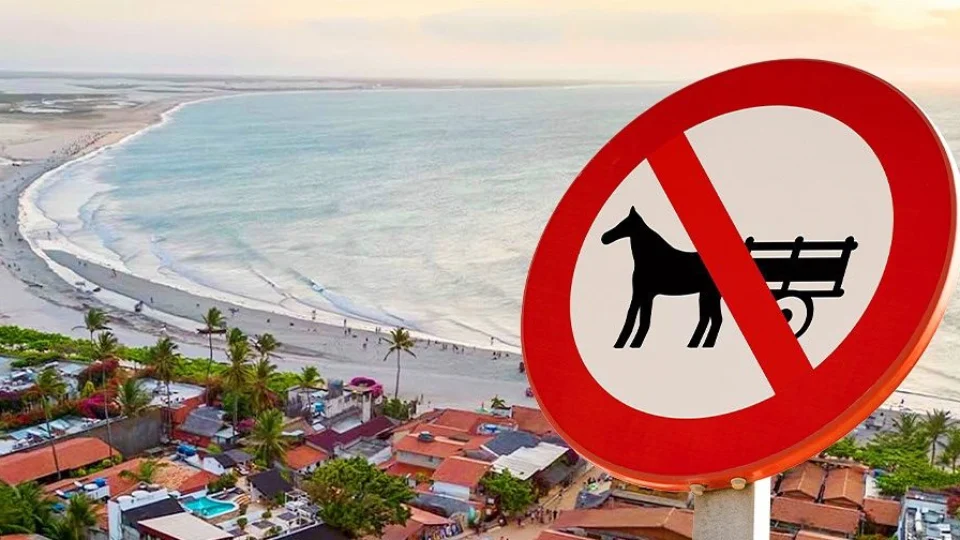 Cidade turística no CE proíbe uso de charretes com tração animal