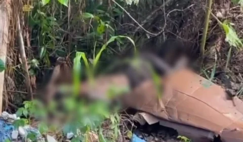 Corpo é encontrado, com sinais de tortura, por moradores de Manaus