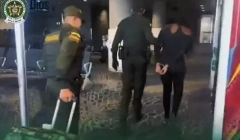 Brasileira é detida na Colômbia com 130 sapos venenosos escondidos em mala