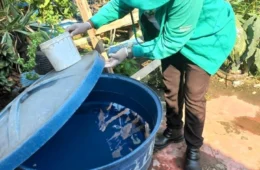 Em 30 dias, 804 casos de dengue são registrados no Amazonas, diz FVS