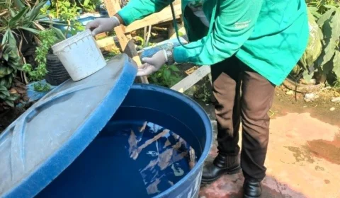 Em 30 dias, 804 casos de dengue são registrados no Amazonas, diz FVS