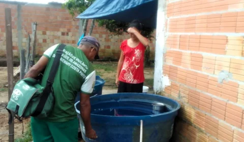 Quase 4 mil casos de dengue são registrados desde o dia 1º