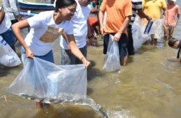 Mutirão solta 150 mil peixes em municípios do Sergipe