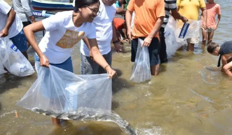 Mutirão solta 150 mil peixes em municípios do Sergipe