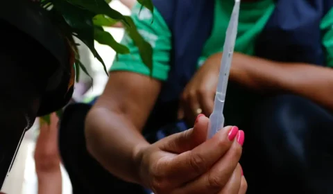 Dengue: Casos confirmados no DF são 10 vezes a média do País 