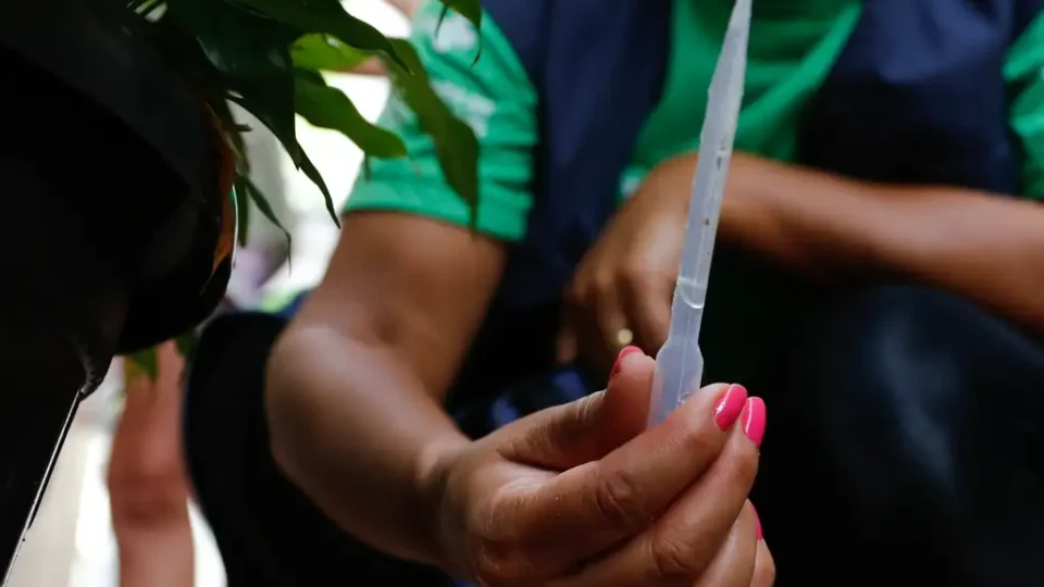 Dengue: Casos confirmados no DF são 10 vezes a média do País 