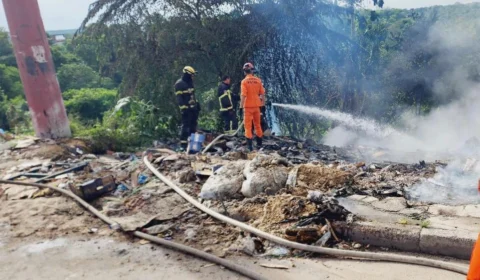 Incêndio atinge área de mata no Distrito Industrial em Manaus