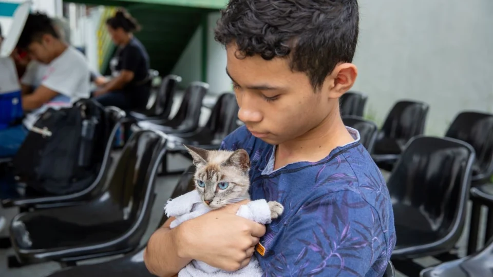 Divulgada agenda para castração de gatos na Zona Norte de Manaus