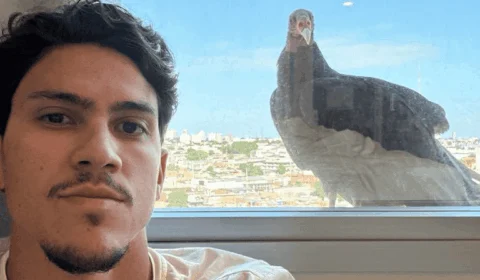 Jogador do Flamengo, Pedro registra urubu na janela de hotel em Manaus