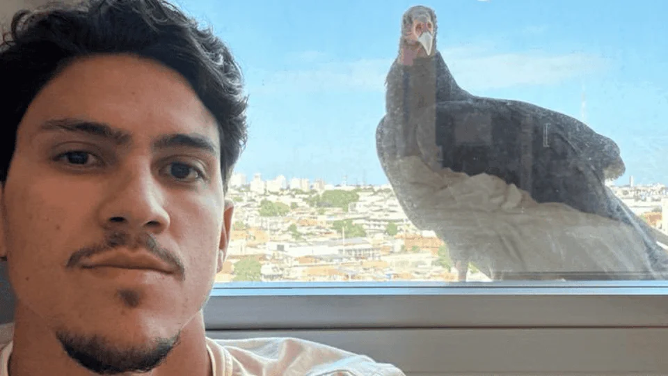 Jogador do Flamengo, Pedro registra urubu na janela de hotel em Manaus
