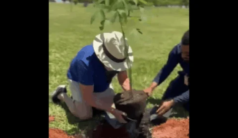 Lula diz que tem a ‘mão santa’, ao plantar sumaúmas no Alvorada