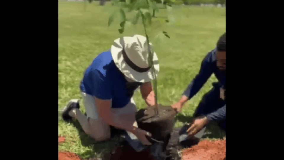 Lula diz que tem a ‘mão santa’, ao plantar sumaúmas no Alvorada