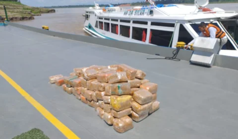 Mais de 110 t de entorpecentes foram apreendidos nos últimos cinco anos no AM