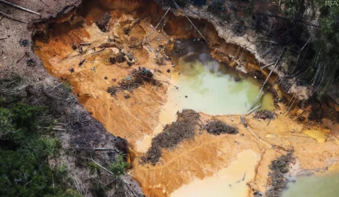 Crise Yanomami: Governo Federal vai distribuir alimentos em Roraima