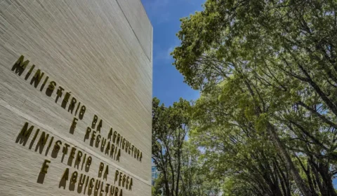 Ministério da Pesca terá concurso para 264 vagas temporárias de nível superior