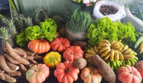 Em Rondônia, PAA teve R$ 6,3 milhões de incentivo em 2023