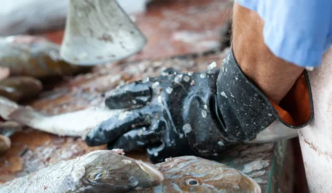 Peixeiro é morto a tiros enquanto trabalhava em Manaus