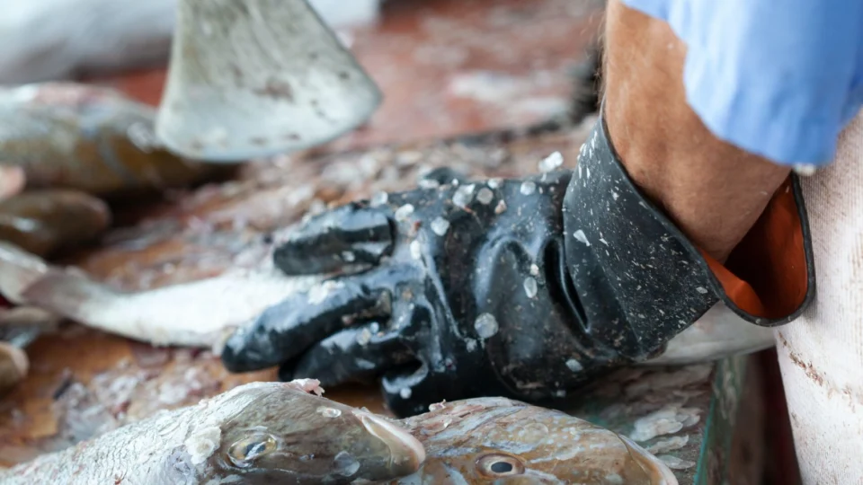 Peixeiro é morto a tiros enquanto trabalhava em Manaus