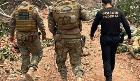 Homem é preso em flagrante por transporte de madeira ilegal no AM