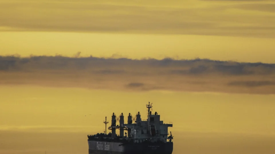 Navio com 16 mil animais é abandonado na costa da Austrália