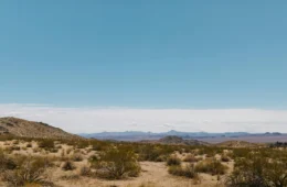 VÍDEO: seis pessoas são encontradas mortas em deserto da Califórnia