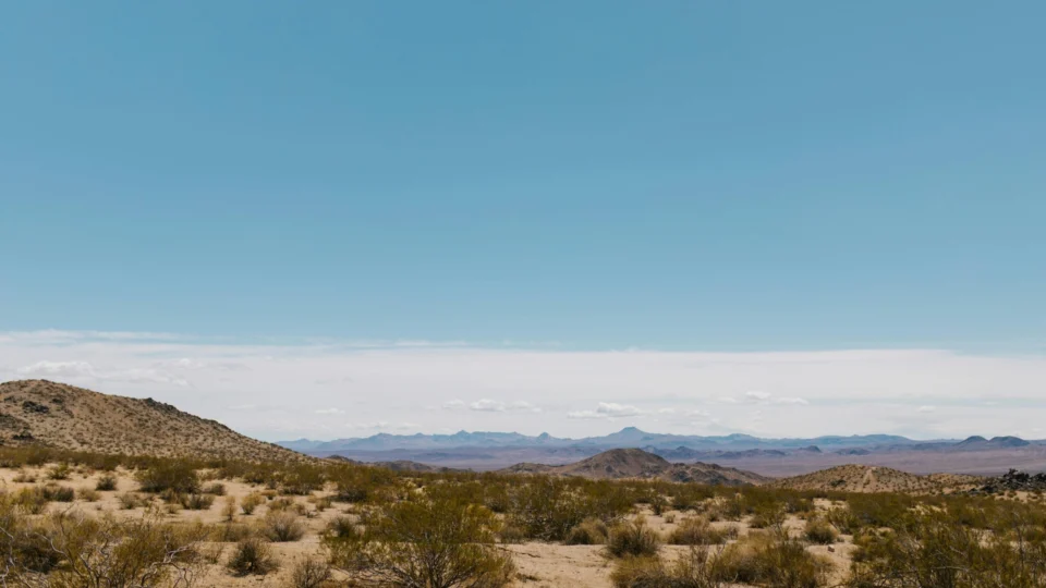 VÍDEO: seis pessoas são encontradas mortas em deserto da Califórnia