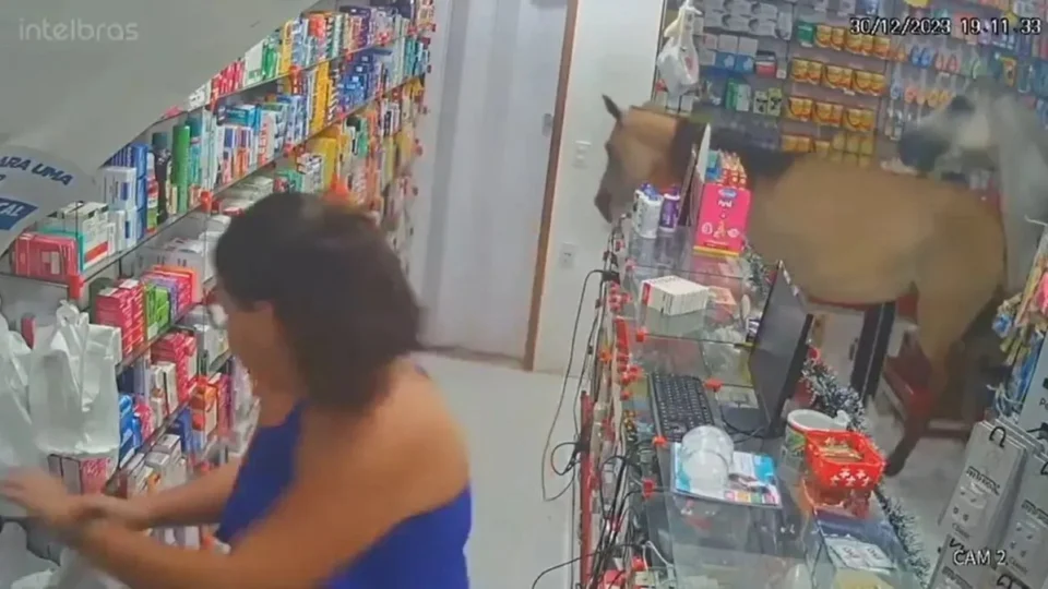 VÍDEO: cavalos invadem farmácia, provocam estragos e assustam funcionárias no RJ