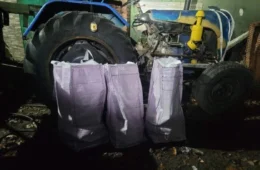 PF mira portugueses por exportação de cocaína dentro de trator para a Europa