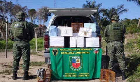 Grupo é preso suspeito de caça ilegal de aves silvestres, em Manaus
