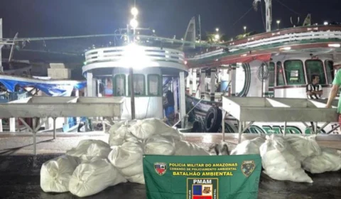 Polícia apreende 1 tonelada de pescado ilegal na Feira da Panair em Manaus