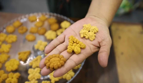 Pesquisa produz biscoitos à base de frutos amazônicos; confira