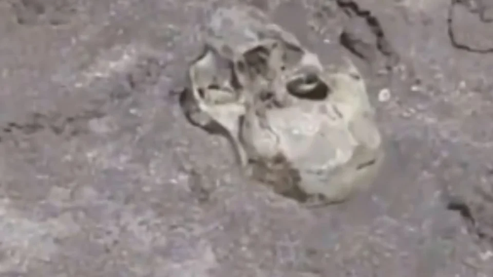 VÍDEO: crânio humano é encontrado por crianças em praia na Argentina