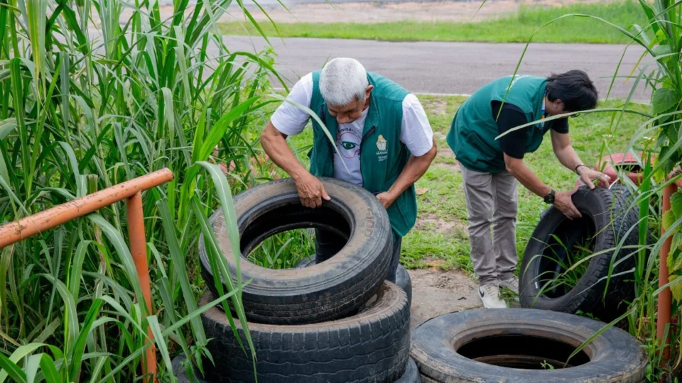 Prevenção: terrenos vazios podem ter focos de dengue