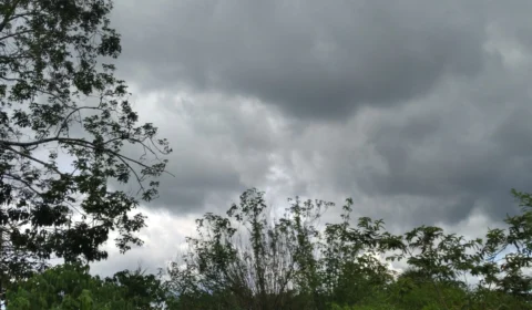 Previsão do tempo: confira o clima para esta segunda (11) em Manaus