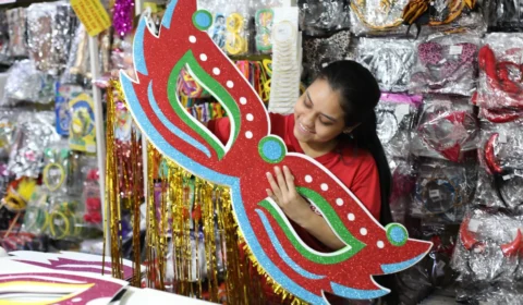 Carnaval: dicas para foliões curtir o carnaval sem preocupações