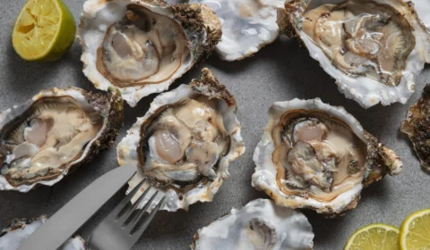 Governo monitora risco de contaminação por frutos do mar em SP