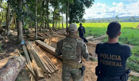 Reserva extrativista em RO é alvo da PF contra crimes ambientais