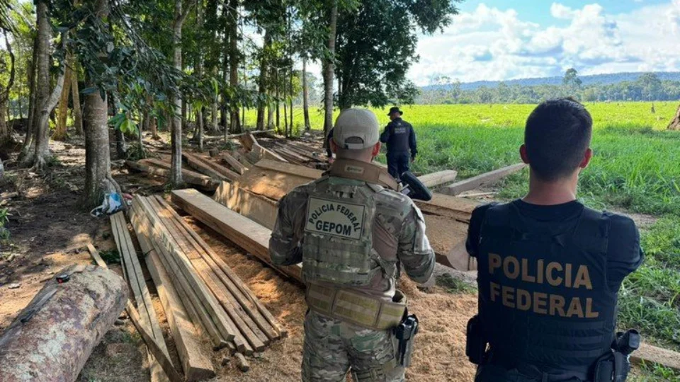 Reserva extrativista em RO é alvo da PF contra crimes ambientais