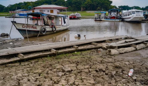 Seca no AM: confira último boletim da estiagem do ano de 2023